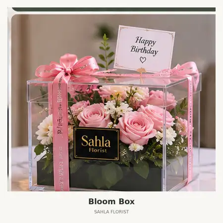 Bloom Box Slipi